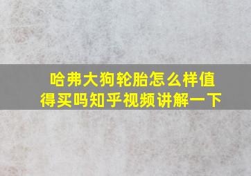 哈弗大狗轮胎怎么样值得买吗知乎视频讲解一下