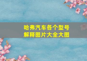 哈弗汽车各个型号解释图片大全大图