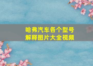 哈弗汽车各个型号解释图片大全视频