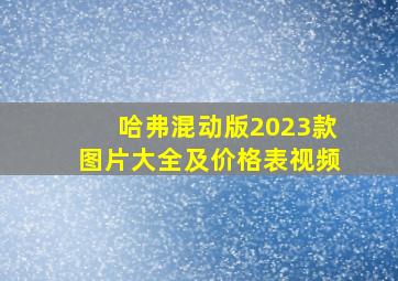 哈弗混动版2023款图片大全及价格表视频