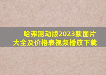 哈弗混动版2023款图片大全及价格表视频播放下载