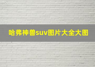 哈弗神兽suv图片大全大图