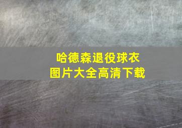 哈德森退役球衣图片大全高清下载