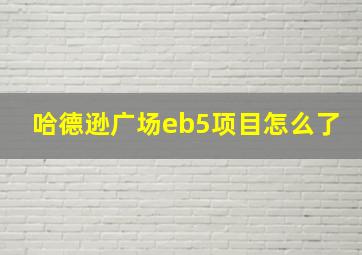 哈德逊广场eb5项目怎么了