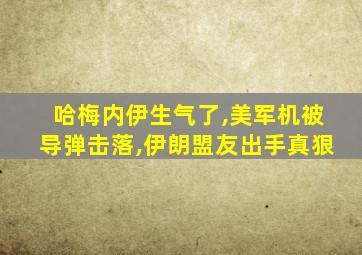 哈梅内伊生气了,美军机被导弹击落,伊朗盟友出手真狠