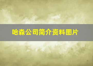 哈森公司简介资料图片