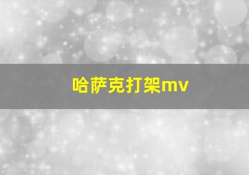 哈萨克打架mv