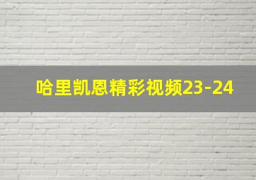 哈里凯恩精彩视频23-24