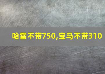 哈雷不带750,宝马不带310