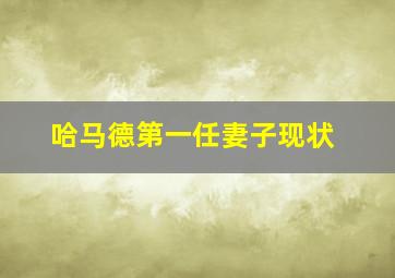 哈马德第一任妻子现状