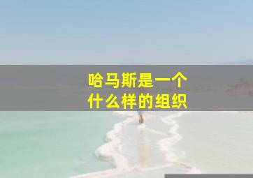 哈马斯是一个什么样的组织