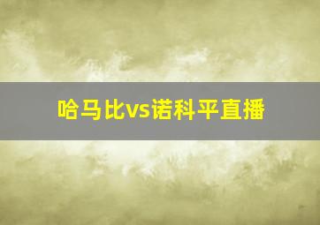 哈马比vs诺科平直播