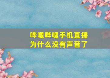 哔哩哔哩手机直播为什么没有声音了