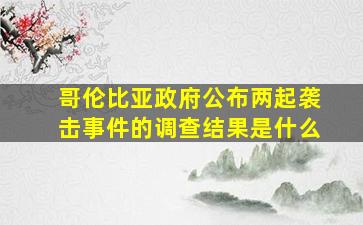 哥伦比亚政府公布两起袭击事件的调查结果是什么