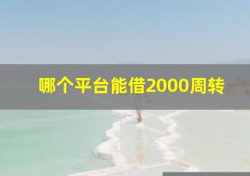 哪个平台能借2000周转