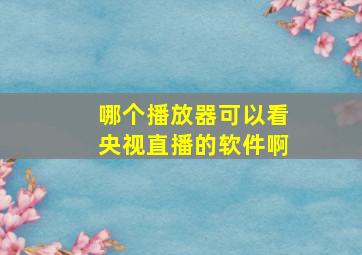 哪个播放器可以看央视直播的软件啊