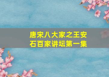 唐宋八大家之王安石百家讲坛第一集