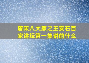 唐宋八大家之王安石百家讲坛第一集讲的什么