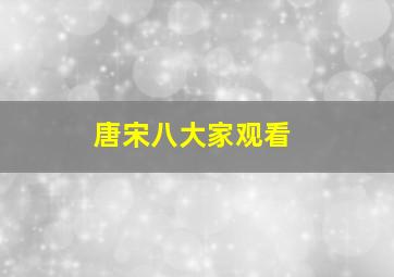 唐宋八大家观看