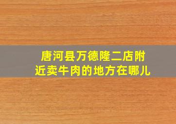 唐河县万德隆二店附近卖牛肉的地方在哪儿