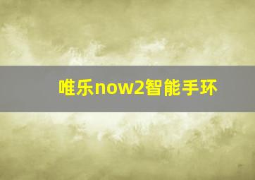 唯乐now2智能手环