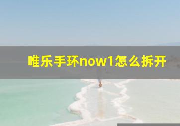 唯乐手环now1怎么拆开