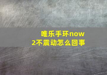 唯乐手环now2不震动怎么回事