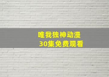 唯我独神动漫30集免费观看