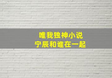 唯我独神小说宁辰和谁在一起