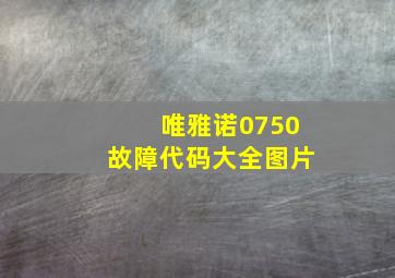 唯雅诺0750故障代码大全图片