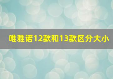 唯雅诺12款和13款区分大小