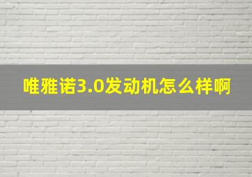 唯雅诺3.0发动机怎么样啊