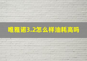 唯雅诺3.2怎么样油耗高吗