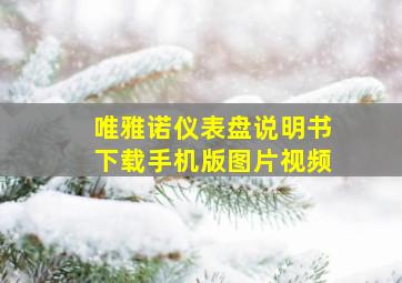 唯雅诺仪表盘说明书下载手机版图片视频