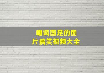 嘲讽国足的图片搞笑视频大全