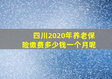 四川2020年养老保险缴费多少钱一个月呢