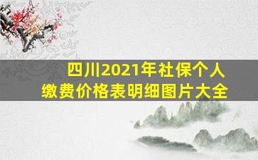 四川2021年社保个人缴费价格表明细图片大全