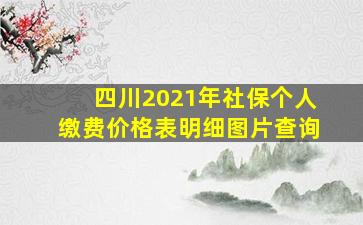 四川2021年社保个人缴费价格表明细图片查询