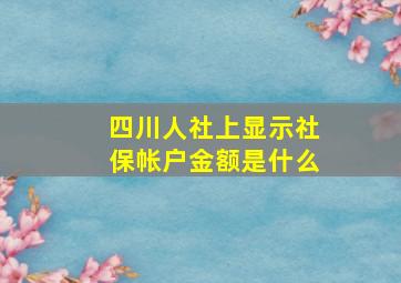 四川人社上显示社保帐户金额是什么