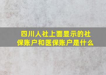 四川人社上面显示的社保账户和医保账户是什么