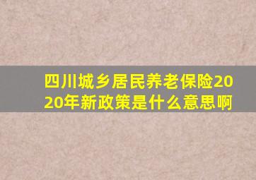 四川城乡居民养老保险2020年新政策是什么意思啊