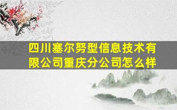 四川塞尔努型信息技术有限公司重庆分公司怎么样