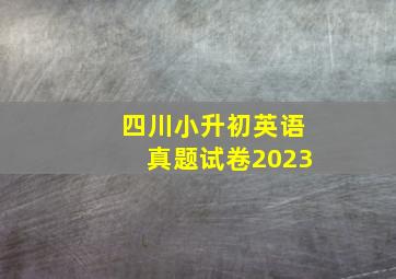 四川小升初英语真题试卷2023