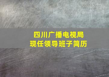 四川广播电视局现任领导班子简历