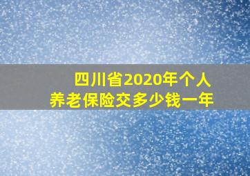 四川省2020年个人养老保险交多少钱一年