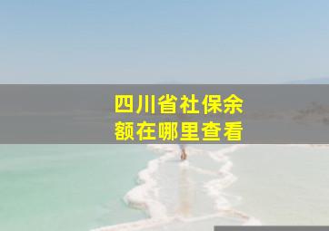 四川省社保余额在哪里查看