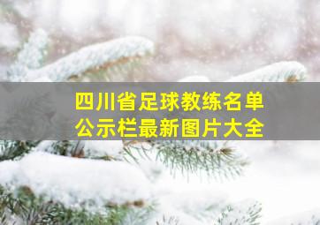 四川省足球教练名单公示栏最新图片大全