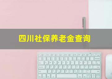 四川社保养老金查询