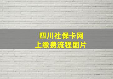 四川社保卡网上缴费流程图片