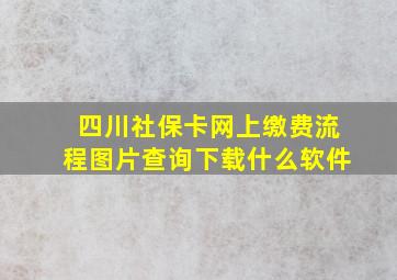 四川社保卡网上缴费流程图片查询下载什么软件